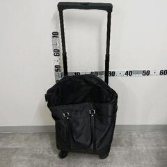 0515-156 スワニーキャリーバッグ