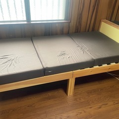 ベット