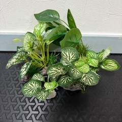人工水草