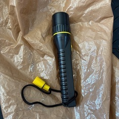 懐中電灯11本セットの画像