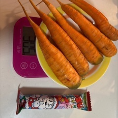 畑で取れたミニ人参🥕