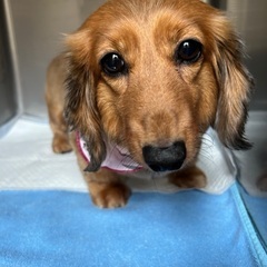 同年代のお友達募集中💕