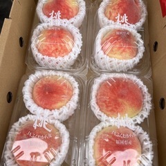 福岡産🍑桃2玉入パック入荷しました✨
