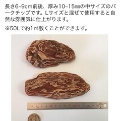 バークチップの画像