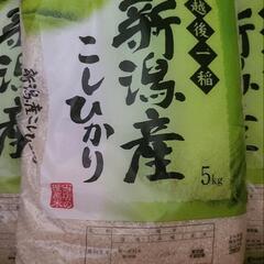 お米　5キロ✕3