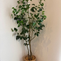 造花　観葉植物