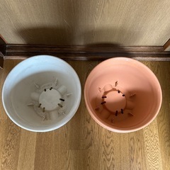 プランターの画像