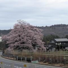ラインから仲良くなれる人募集中😌