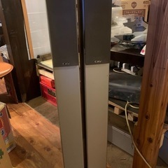 CAV DP-10型トールタイプ　スピーカー？