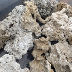 水槽　珊瑚　置物　オブジェ　軽石　の画像