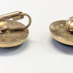 ☆アクセサリー　イヤリング１種　中古品　の画像