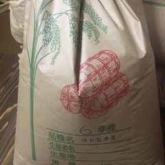 栃木県コシヒカリ玄米10キロ