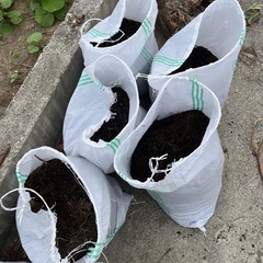 土差し上げます。土嚢袋に入れておきます！