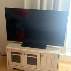 テレビ