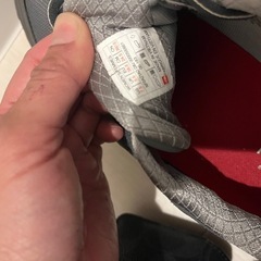 ノースフェイスゴアテックススニーカーの画像