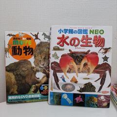 図鑑2つセット