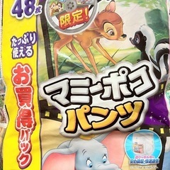 マミーポコパンツBIG:31枚
