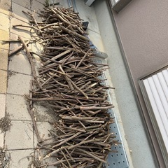 枝木