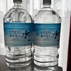 水2L