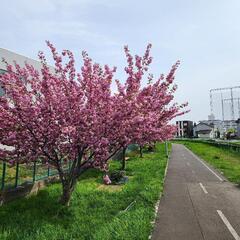 白石駅に着きました。