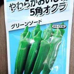 オクラの種 半端