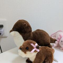 動物さんぬいぐるみの画像