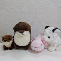 動物さんぬいぐるみの画像