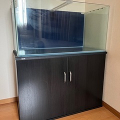 曲げガラス水槽90センチ、GEX水槽台セット