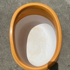 猫トイレ