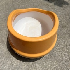 猫トイレの画像