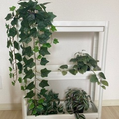 人工観葉植物