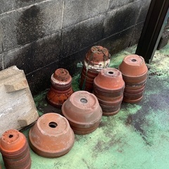 浅底の植木鉢