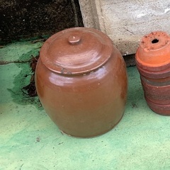 壺　つぼ　梅干し用？