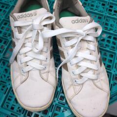 🌿‬adidas シューズ23cm位の画像