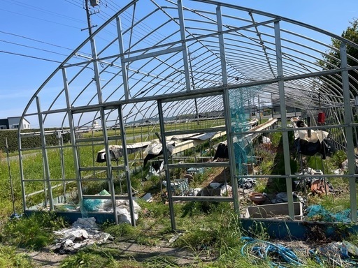 ビニールハウス高設栽培棚セット解体済み間口6m×20m 内張りパイプ有り