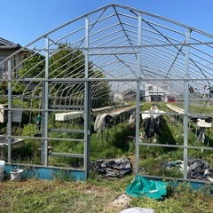 ビニールハウス　高設栽培棚セット　解体済み　間口6m×20m 内...