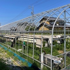 ビニールハウス高設栽培棚セット解体済み間口6m×20m 内張り