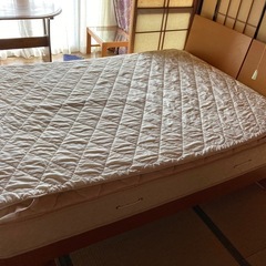 ベット