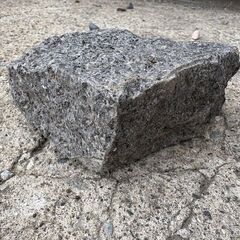 黒 ピンコロ 半丁 の画像