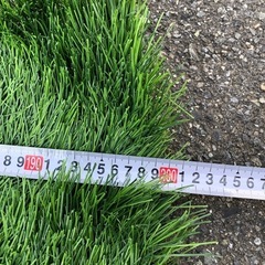 お買得！【美品 】人工芝の画像