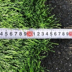 お買得！【美品 】人工芝の画像