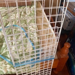 決定しました！【本日中】ワイヤーネットの画像