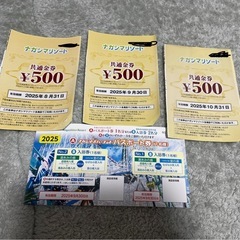 長島スパーランドフリーパス、湯浴み2名どちらか➕金券1500
