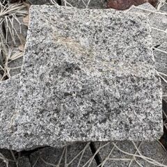 黒 ピンコロ 1丁の画像