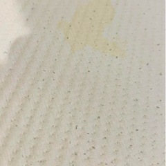 コアラマットレス　セミダブルの画像