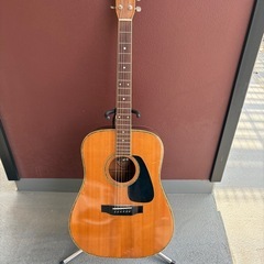 アコギ　Morris MD-520