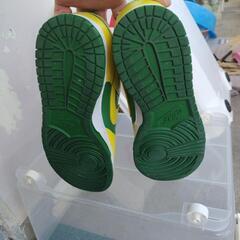 ナイキ　ダンクロー27.5の画像