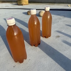 PSB 500ml ③