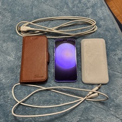 iPhone12 mini 付属品多数