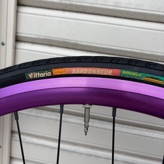SE Bikes Lageの画像